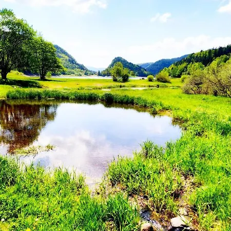 Maison Vosgienne Centre La Bresse