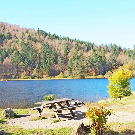 Maison Vosgienne Centre * La Bresse