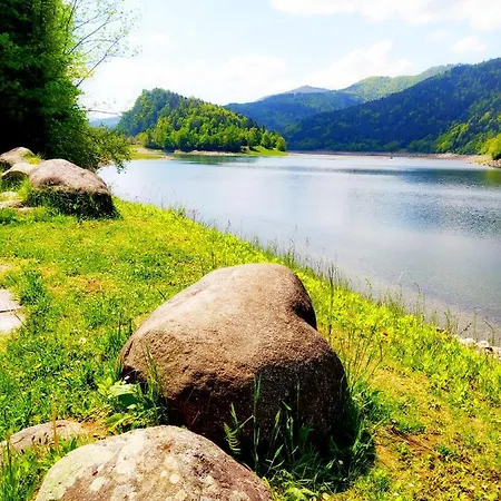 Maison Vosgienne Centre