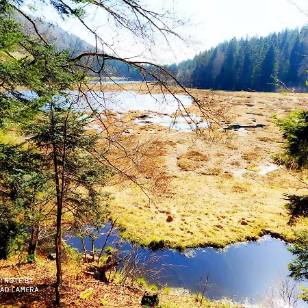 Lejlighed Maison Vosgienne Centre