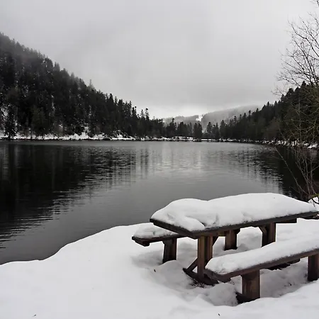 Maison Vosgienne Centre