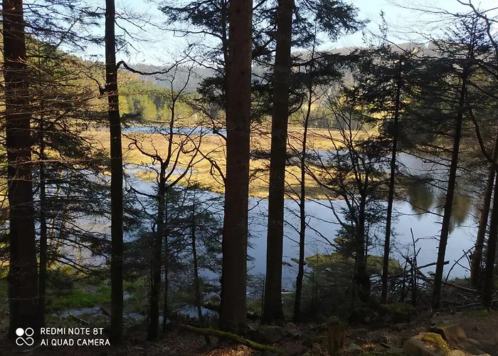 Maison Vosgienne Centre Apartmán *