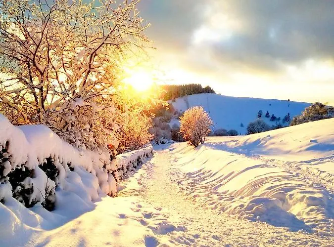 Apartmán Maison Vosgienne Centre