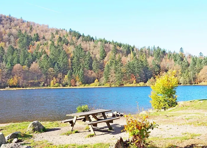 Maison Vosgienne Centre * La Bresse