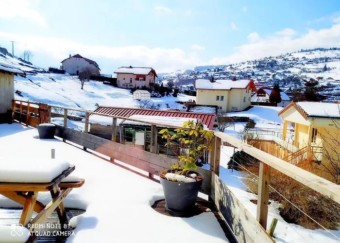 Maison Vosgienne Centre * La Bresse