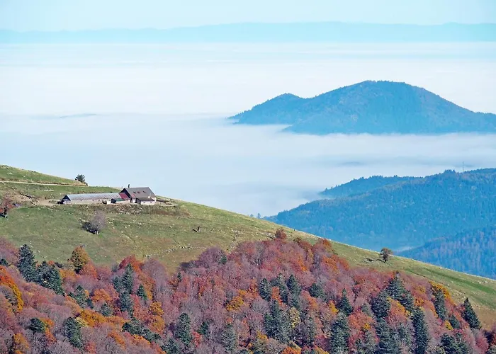 Maison Vosgienne Centre La Bresse