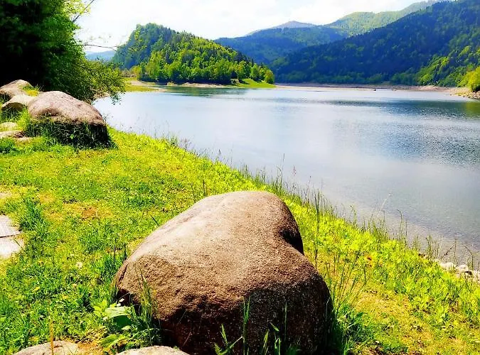 Maison Vosgienne Centre