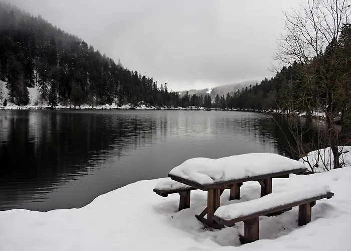 Maison Vosgienne Centre