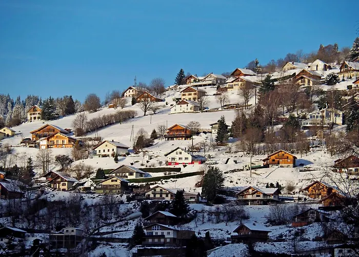 Apartmán Maison Vosgienne Centre *