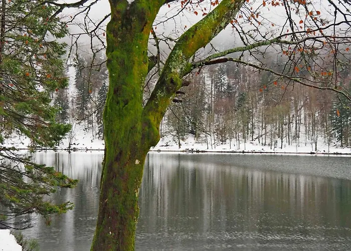 Maison Vosgienne Centre Apartmán *