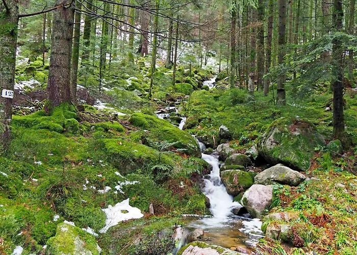 Maison Vosgienne Centre * La Bresse