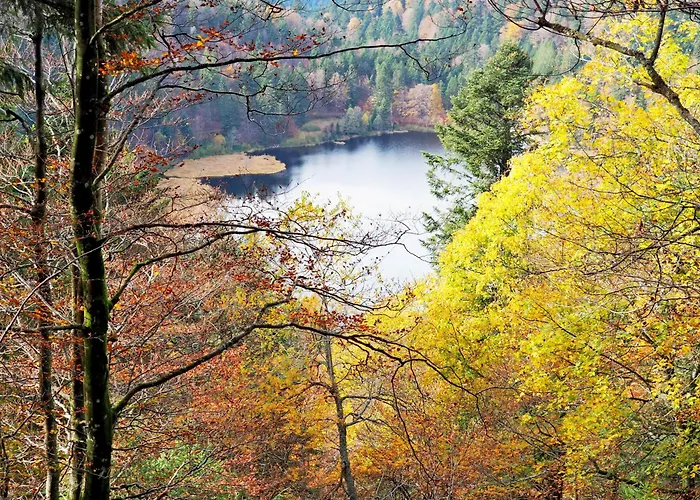 Maison Vosgienne Centre Apartmán *